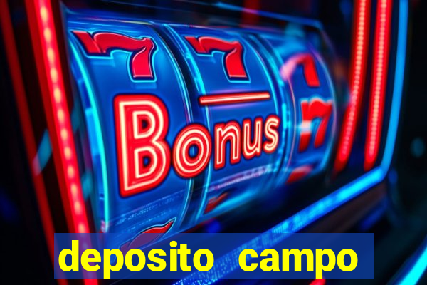 deposito campo grande santos